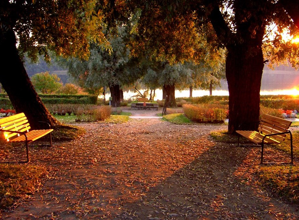cemetery